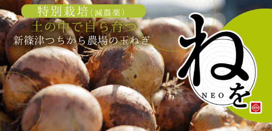 特別栽培（減農薬）新篠津つちから農場の玉ねぎ ねを(NEO)