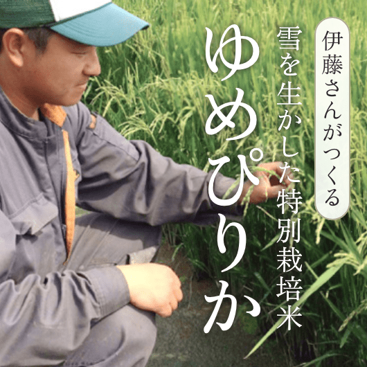 【北海道美唄市産】伊藤さんのゆめぴりか
