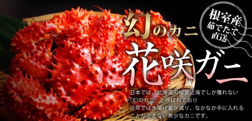 幻のはなさき