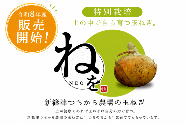 特別栽培たまねぎねを