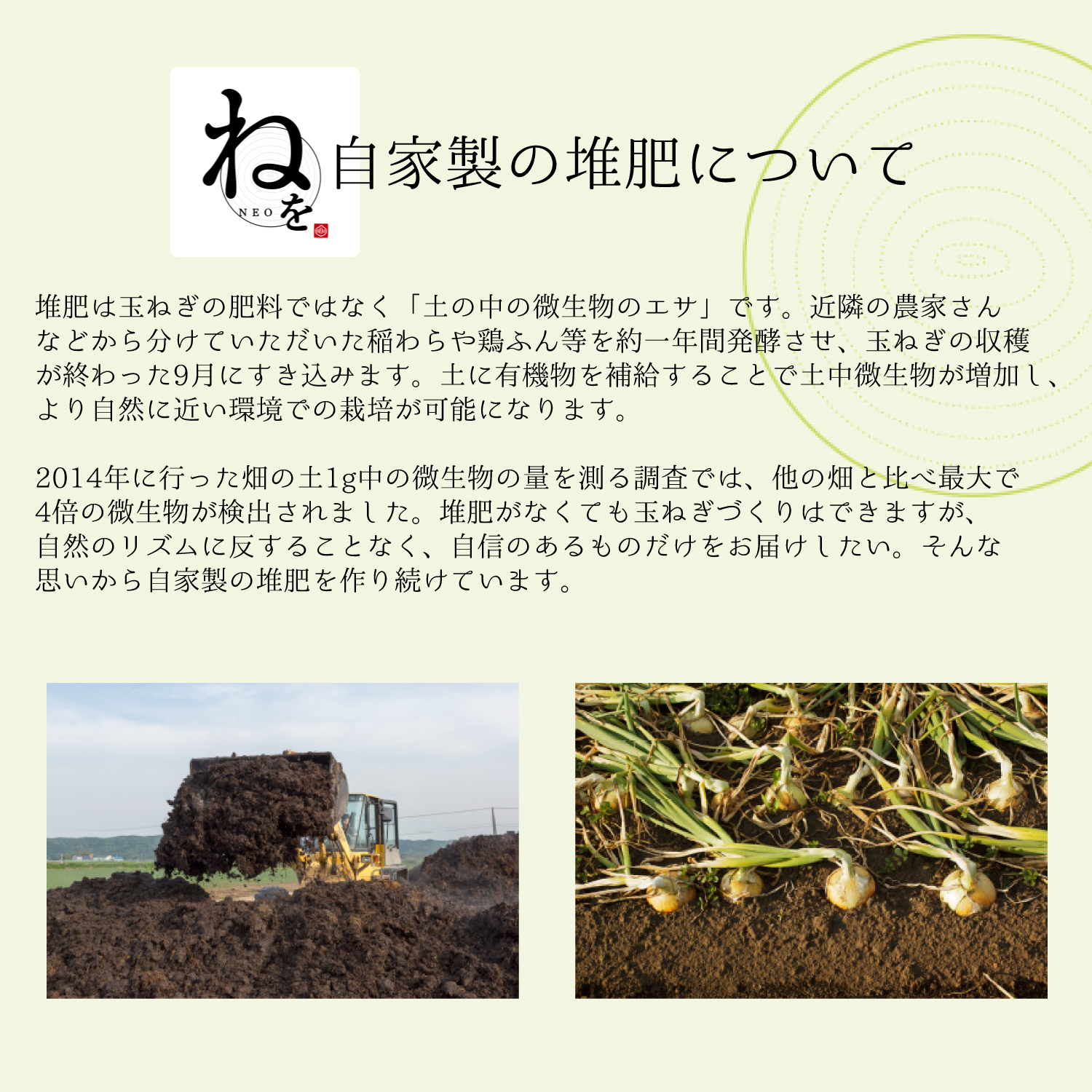 新作人気 高級玉ねぎ 10kg 北海道産 新篠津 特別栽培 高級たまねぎ ねを NEO